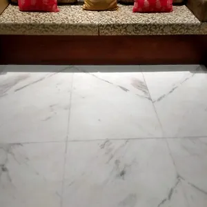 https://hotel-kalika-palace-udaipur.udaipurhotels.org